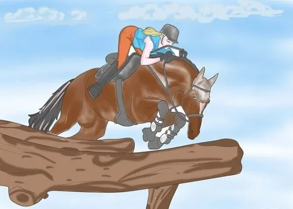 Riding Disciplines and Equestrian Styles - which is right for you