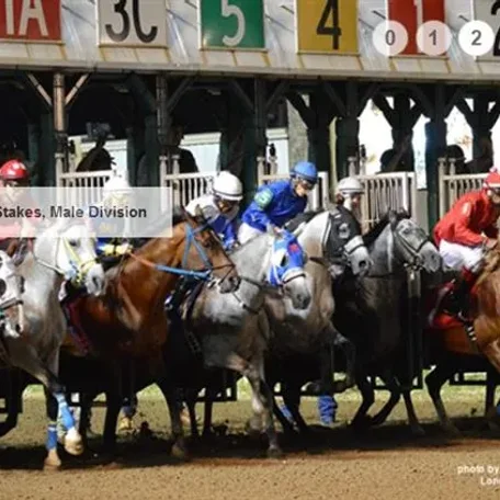Darley Arabian Flat Racing Awards! Big Event at the Dolby Theatre