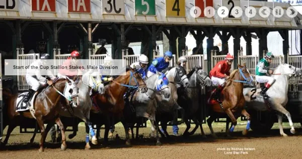 Darley Arabian Flat Racing Awards! Big Event at the Dolby Theatre