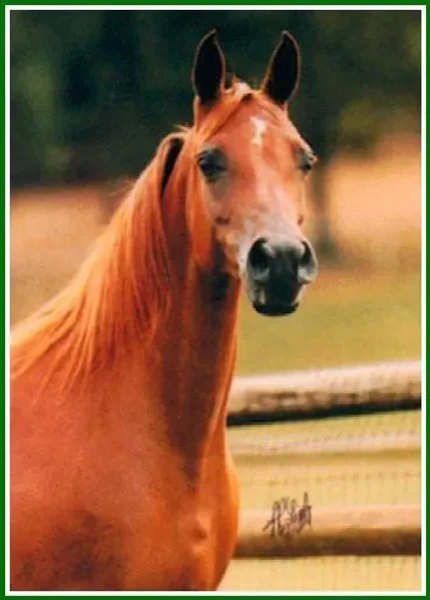 Example