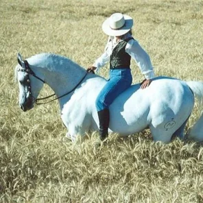 *Sidi-Brahim