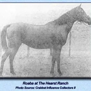 Roaba