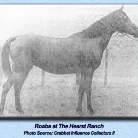 Roaba