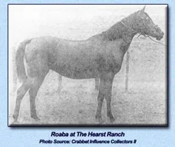 Roaba