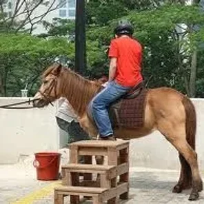 Batak