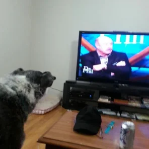 Pepper