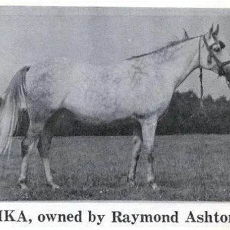 Bika