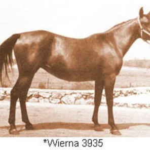 *WIERNA