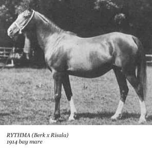 Rythma