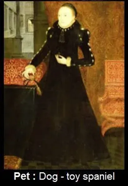 Pets of the Tudors & English Royalty