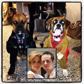 Hollywoods Stars and Some of Their Pets