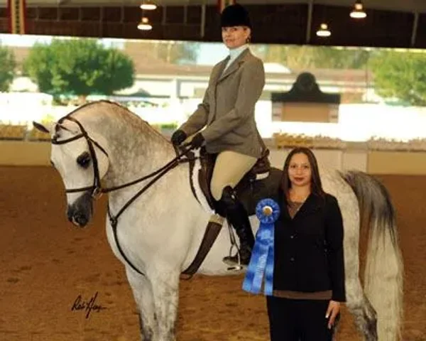 Om El Al Azeem (Al Lahab × Om El Beneera) 2010 US Reserve National Champion Stallion.