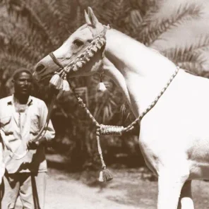 Nazeer