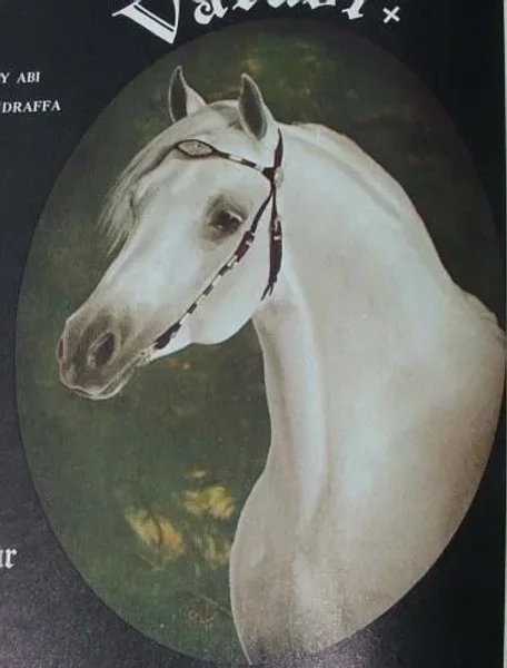 VARABI
