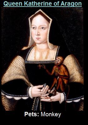 The Tudors Beloved Pets Pt 3