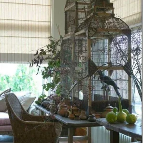 The Best Pet Bird Cages