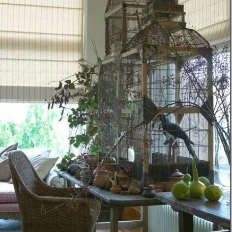 Magnificent Bird Cages