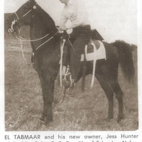 EL TABMAAR