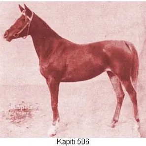 Kapiti