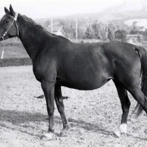 Kiprida