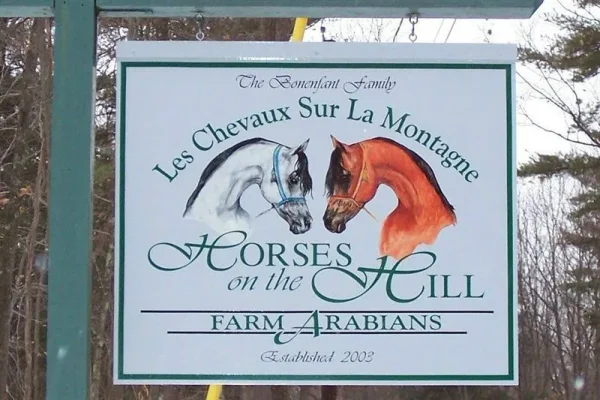 Fran Bonenfant / HHF Arabians