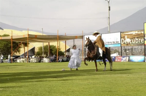 Asociación Internacional de la Alpaca