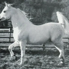Emaus