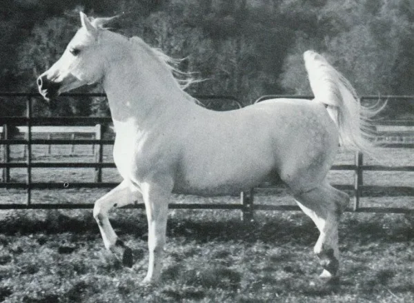 Emaus