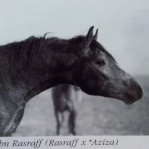 Ibn Rasraff