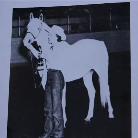 Nisym (Raseyn x Nakkla) grey mare, foaled January 17, 1940
bred by W.K. Kellogg Institute