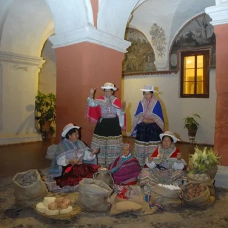 Alpaca Fiesta 2014