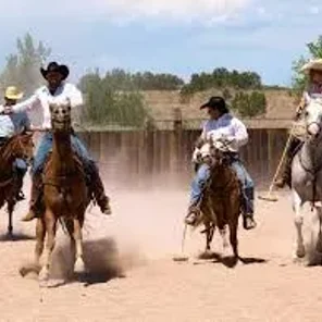 Cowboy Polo
