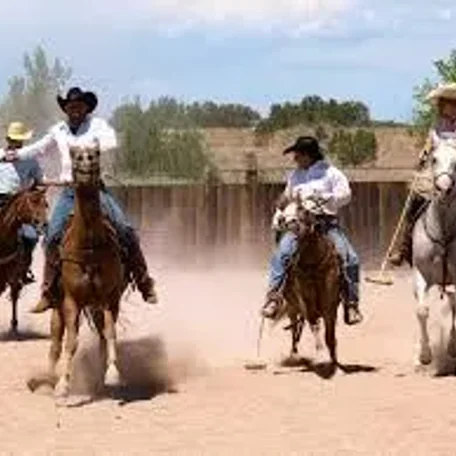 Cowboy Polo
