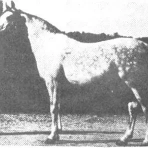 Nana-Sahib