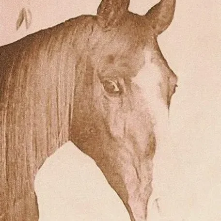Indirza 1932 Arabian Mare.