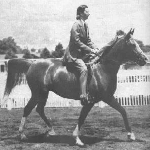 Al-Marah Ralla