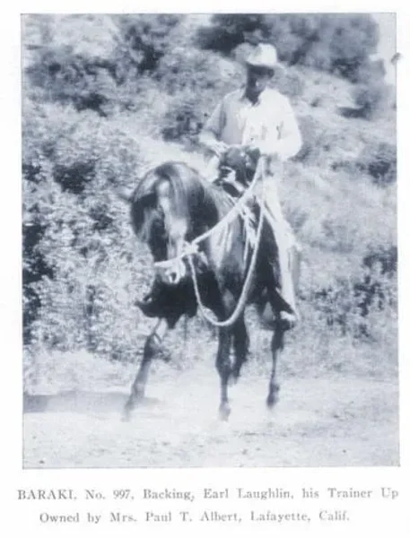 Baraki