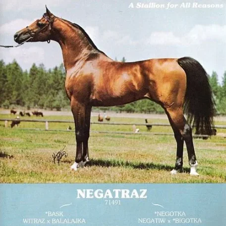 NEGATRAZ