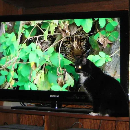 Oh, oh, Miah. Better look behind you!