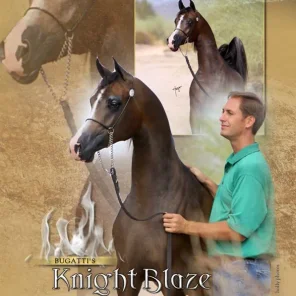 BUGATTIS KNIGHT BLAZE