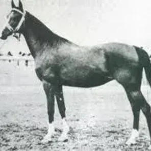 Fryga II