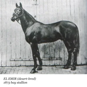 El Emir