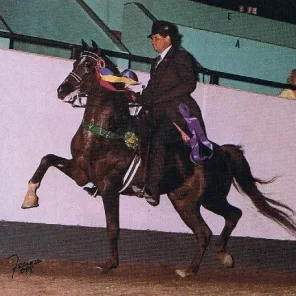 MHR Nobility
