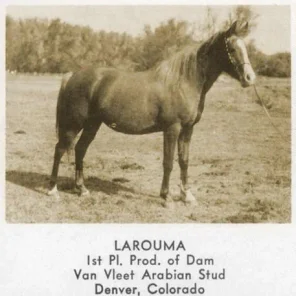LAROUMA