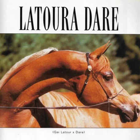LATOURA DARE