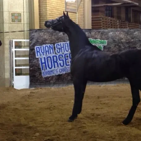 A very cool shot of Rasika and Ted Carson schooling at Nationals!
