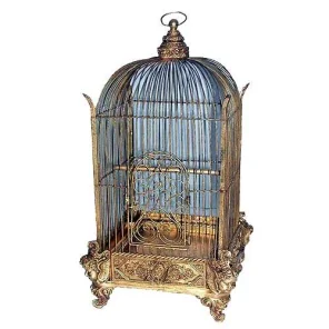 The Best Pet Bird Cages