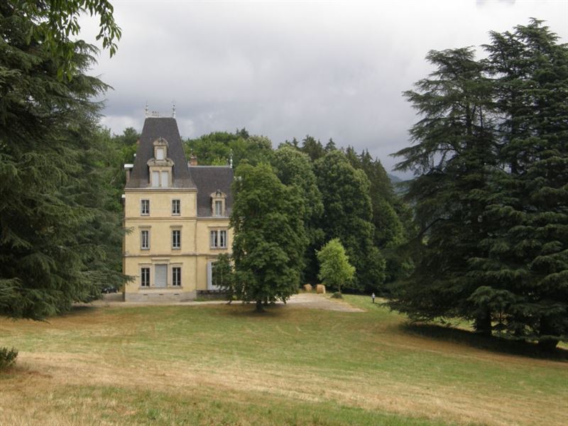 French Chateau For Sale in Ain, France