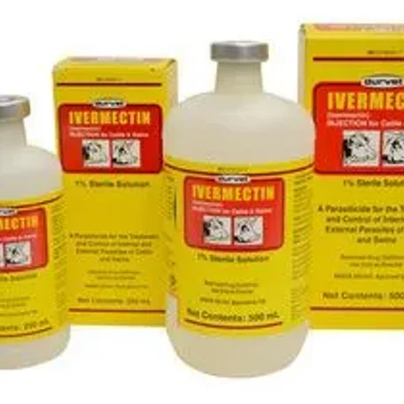 Meds and conditions for Micro, Mini, Pixie pigs