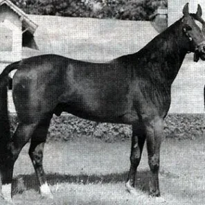 Etap